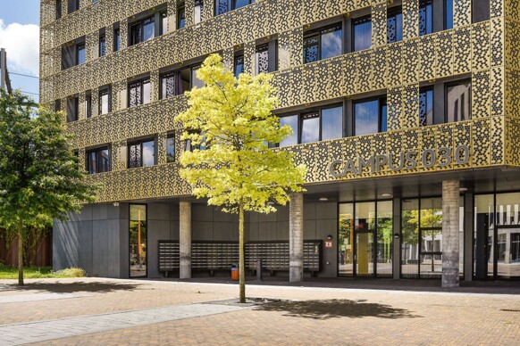 Reykjavikstraat 488