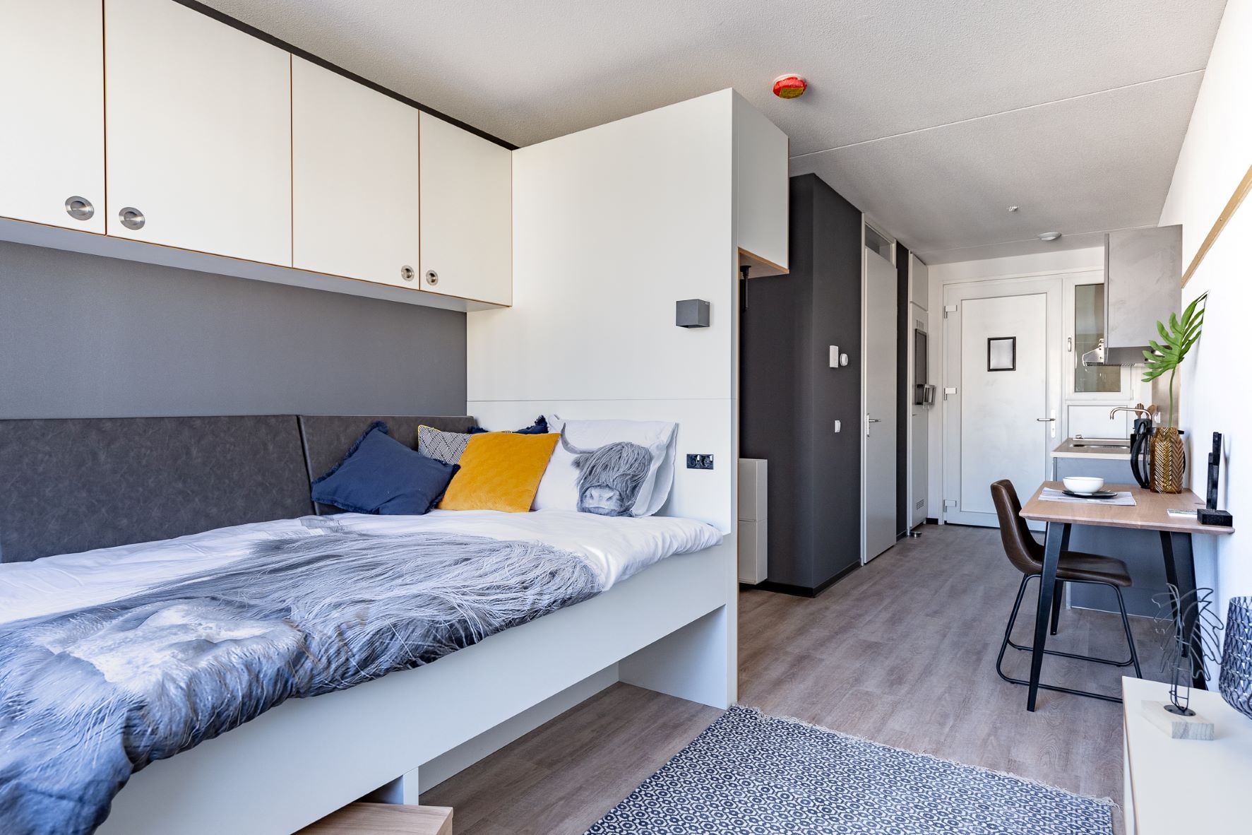 Reykjavikstraat 412 Utrecht
